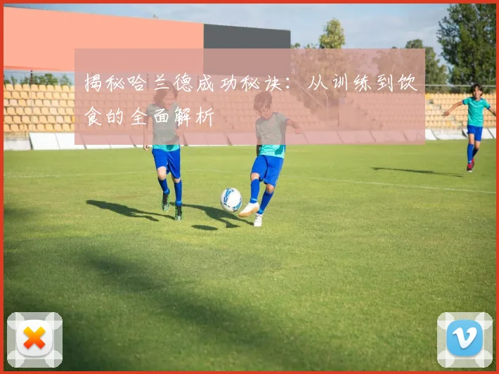 揭秘哈兰德成功秘诀：从训练到饮食的全面解析